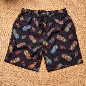 Nitrous Black Men’s Tropical Pineapple Swim Trunks Elastic Waist Medium